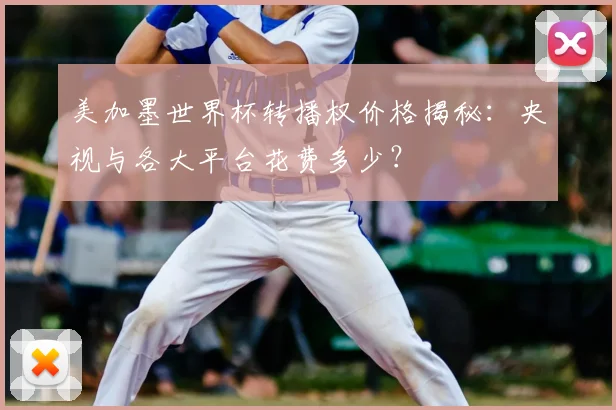 美加墨世界杯转播权价格揭秘:央视与各大平台花费多少?